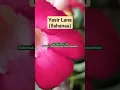 Download Lagu Yasir Lana (Ilahanaa) - Ai Khodijah