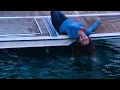 Funniest Drunk Women Fail Badly Compilation