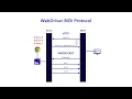 WebDriver BiDi Protocol Codoid