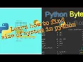 How to find size of system allocated to list tuple and other variable in Python