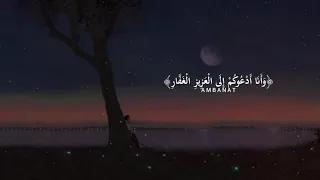 وأفوض أمري إلى الله إن الله بصير بالعباد   مشاري العفاسي دندنها