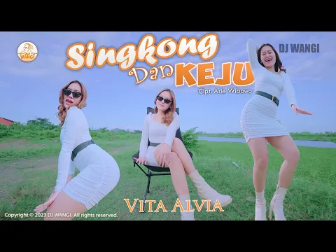 Download MP3 Dj Anak Singkong - Vita Alvia (Kau bilang cinta padaku aku bilang pikir dulu) (Official M/V)