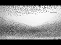 Nick Devon -  Meteor (Original Mix) [STEYOYOKE]