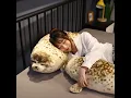 Giant Animal Sea Lion Plush Stuffed