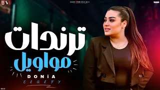 ترندات مواويل 2026 دنيا الالفي العين باالعين والباقي بعدين ملاحق صوت عنادي سكوت لعشاق الروقان 