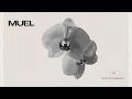 Download Lagu MUEL #32: Morning Clarity Mix | Smooth Electronica for a Productive Thursday