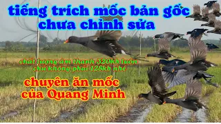 Download tiếng trích mốc huyền thoại  . Bản gốc không chỉnh sửa - chuyên ăn mốc MP3