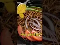 Download Lagu Het geheim van mijn lekkere bami#shorts#bami#surinaamsekeuken