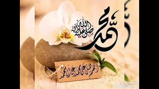 قصيدة نور أضاء بصيرتي عن الرسول صلى الله عليه وسلم دندنها