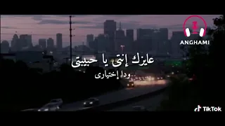 عايزك انتي يا حبيبتي ودا اختياري  هاني شاكر دندنها