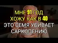 Download Lagu Это СЕМЯ Содержит БОЛЬШЕ Белка чем Яйца! Борется с Саркопенией БЫСТРО