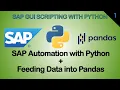 Automate SAP Spreadsheets Export with Python and Analysis with Pandas in a single Python script