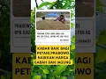 Download Lagu Prabowo naikkan harga gabah dan jagung ‼️#shorts #viralvideo #fyp