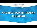 PlugMan Minecraft Plugin