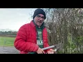 Download Lagu First Shillelagh of the Blackthorn Cutting Season
