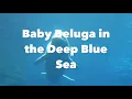 Baby Beluga  - Raffi Lyrics Video