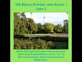 502 Blues (Drinkin´ and Drivin´) Take 3