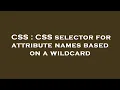 CSS CSS selector for attribute names based on a wildcard