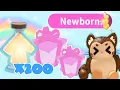 Aging Up Pets for Purrowl Adopt Me Birt ay Update Roblox Riivv3r