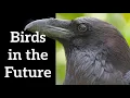 Lagu Birds in the Future - Predictions About 2070