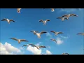 Terry Jacks  - - Seasons In The Sun - - { Best Video of this song }