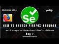 Day 7 How to Launch Firefox Browser in Selenium Webdriver Selenium Java Beginners
