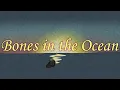 Download Lagu Bones In The Ocean (Sea Shanty) [Unofficial Animated Music Video]