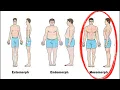 Body Types Explained Part 2 Mesomorph