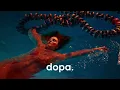 CamelPhat, Arodes - Cycles