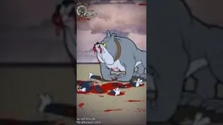 شاهد كيف مات توم وجيري  شاهد كيف مات توم وجيري