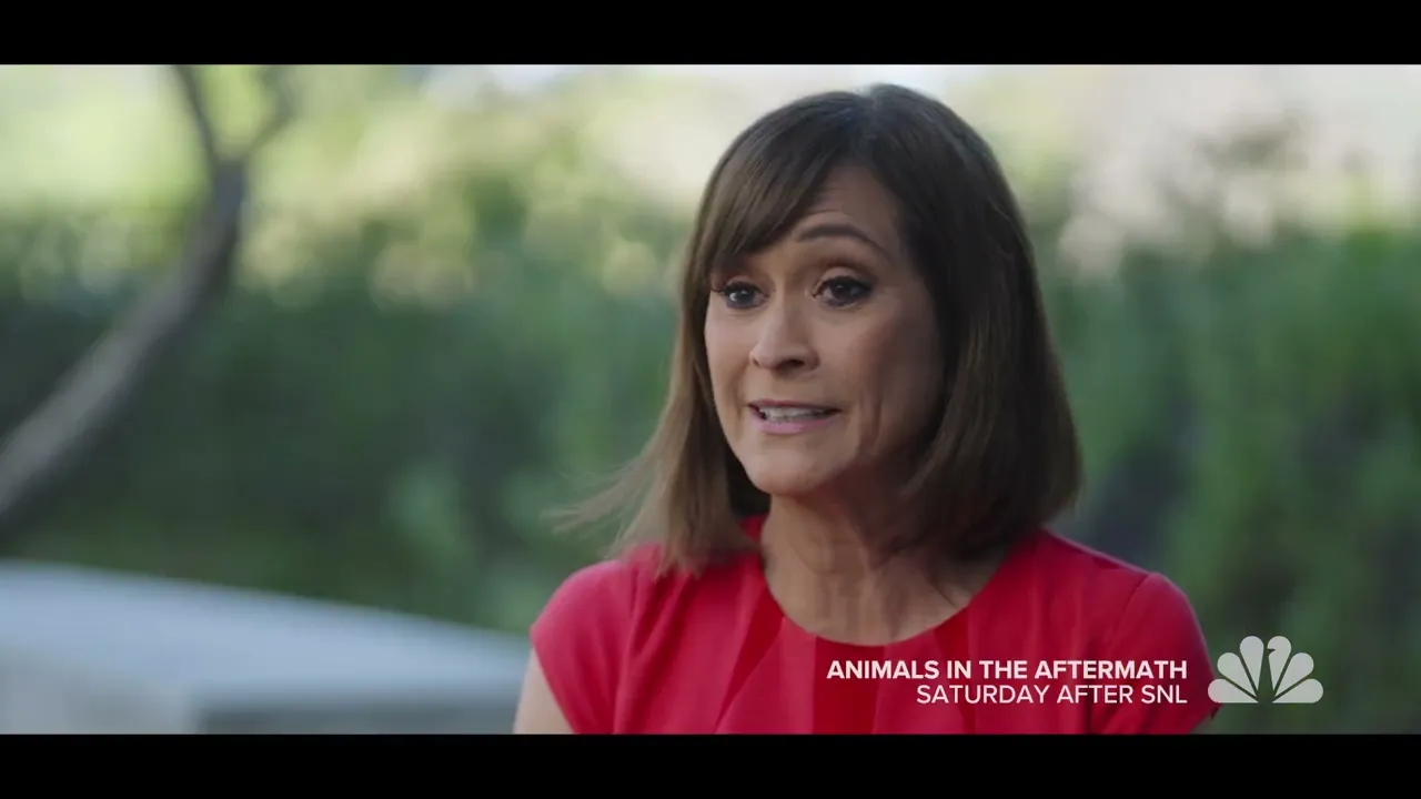 Animals in the Aftermath - Promo