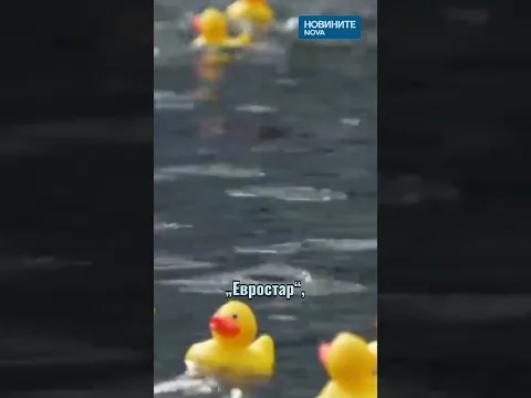 Хиляди гумени патета превзеха каналите на Лондон в подкрепа на децата в интензивни отделения