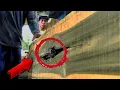 Download Lagu unexpected discovery in wood || sawing teak wood || sawmills in action