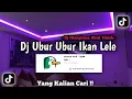 Dj Ubur Ubur Ikan Lele Slowed Mengkaneπ€π§