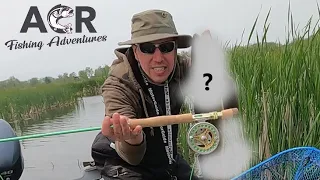 Mystery fish on my new fly rod – ACR Fishing Adventures