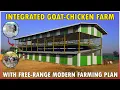 Download Lagu Integrated Goat and Poultry Farming Shed | Simple Integrated + Free Range Goat and Chicken Farm