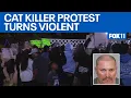 Protesters attack wrong home after alleged cat killer released on bail FOX 11 LA