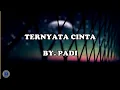 Download Lagu Ternyata Cinta - Padi (lirik)