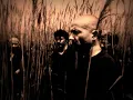 noir désir - les écorchés.