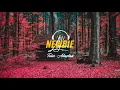 Download Lagu Tulus - Adaptasi (Lyric)