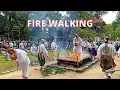 Download Lagu Japanese Yamabushi Monks in a Shugendo Fire Walking Festival