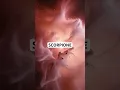 Download Lagu Il punto di svolta dello Scorpione