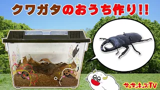 【昆虫】オオクワガタの虫かごを手作り！？大量捕獲したレアな虫を観察♪・自由研究・お出かけ・虫とり・子供向け知育教育★サンサンキッズTV★