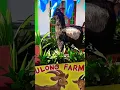 Kambing Farm Float Parade 2025