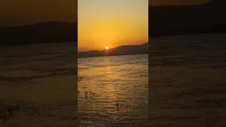 ابتهال سبحت لله في العش الطيور الضحى من نور من نصر الدين طوبار 