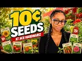 ACE HARDWARE HAS SEEDS FOR ONLY 10