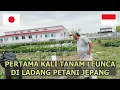Download Lagu NGGAK NYANGKA PETANI JEPANG TAU TENTANG INI!