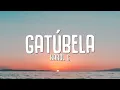 Download Lagu KAROL G - GATÚBELA (Letra / Lyrics)