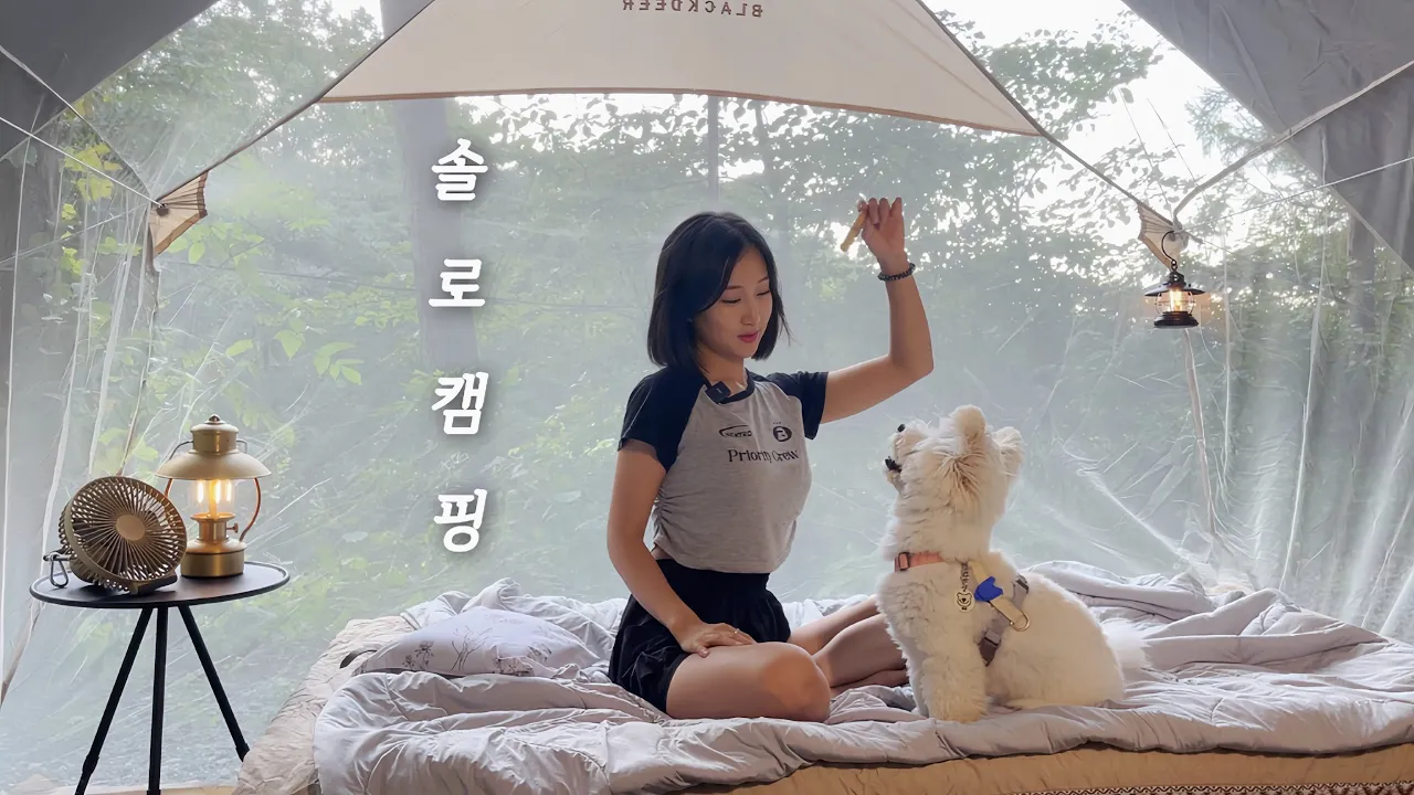 【애견동반 캠핑】 텐트 없이 모기장 하나로 산속에서 하룻밤👀 / 솔직히 이번엔 쫌 무섭다😱 / 연해장 돼지곱창전골&소주 / 솔로 캠핑 / 미니멀 캠핑 / 금산 리캠프 캠핑장 썸네일