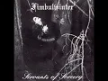 Fimbulwinter - Black Metal Storm